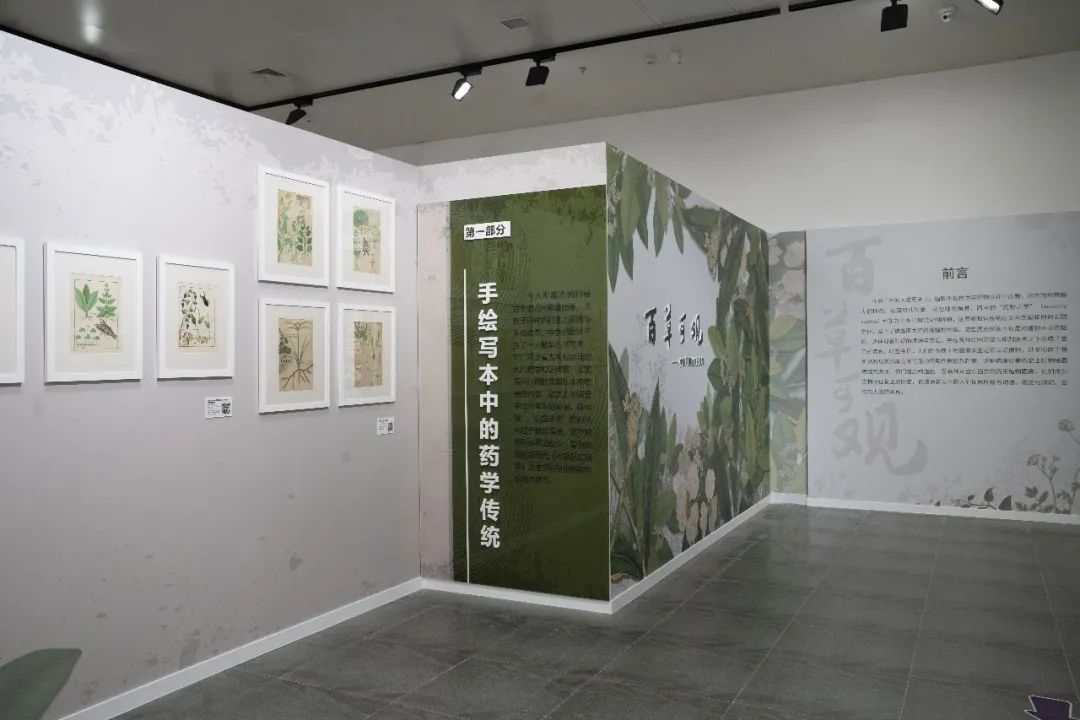 沙龙预告NO.18 | 版画艺术家的视角看《百草可观》，央美武将谈植物学插图的若干思考