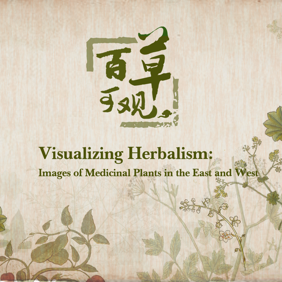 Visualizing Herbalism