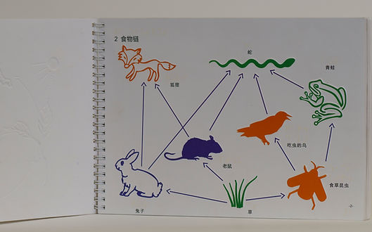义务教育课程标准盲校实验教具《生物触摸彩图》七年级上册内页4