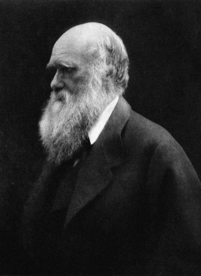 查尔斯·达尔文照片