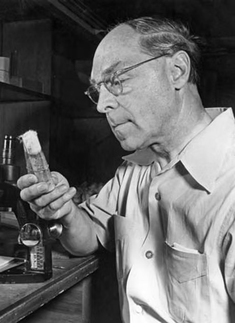 赫尔曼·穆勒照片