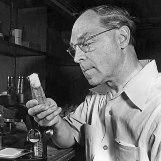 赫尔曼·穆勒肖像