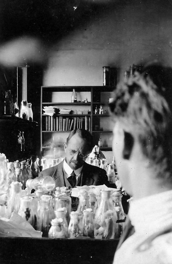 摩尔根 1916 年在哥伦比亚大学的果蝇室