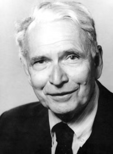 欧文·查戈夫照片