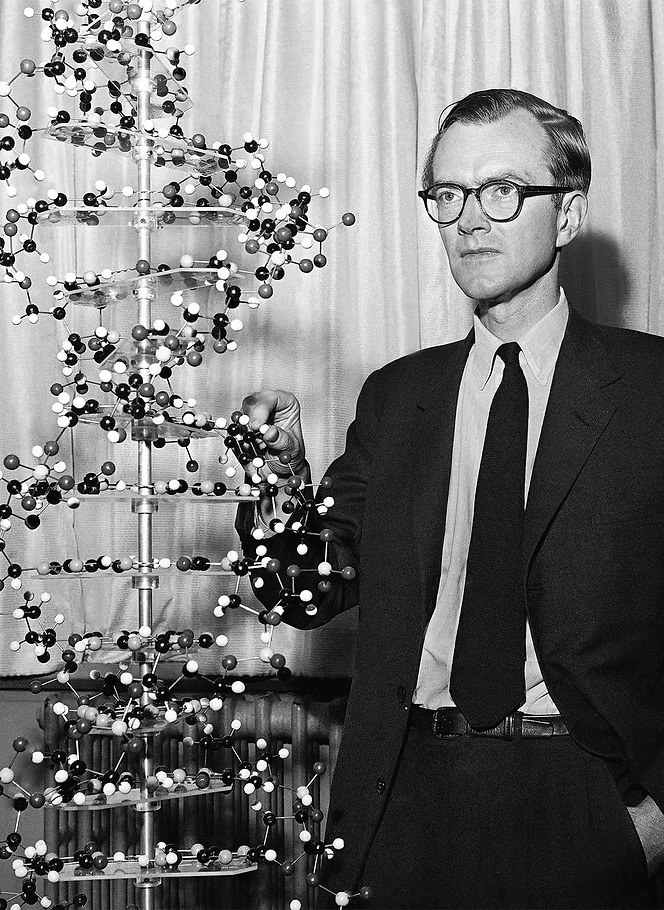 莫里斯·威尔金斯照片