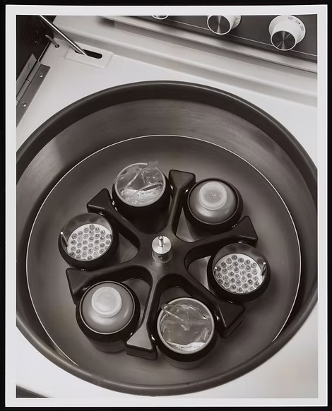 贝克曼离心转子补充图片