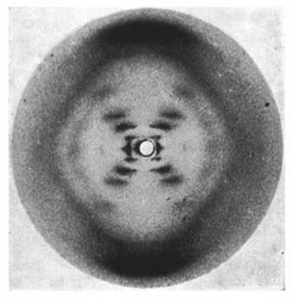烟草花叶病毒（TMV）图像
