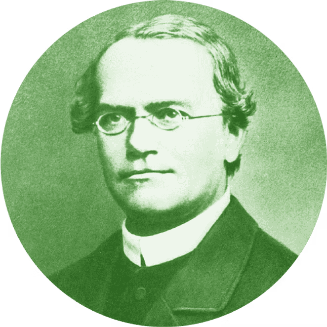 孟德尔人物照片